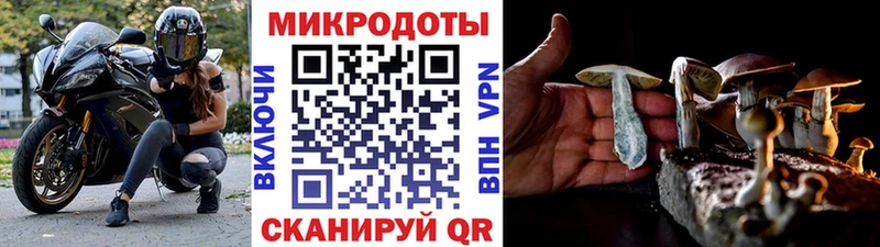 где найти Звенигород Галлюциногенные грибы прущие грибы